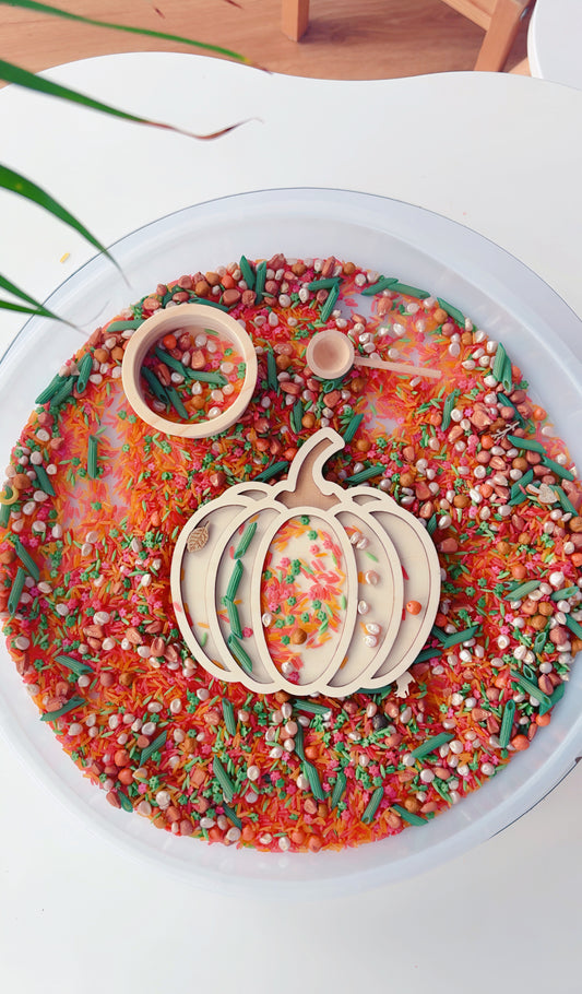 Sensorik - Kürbis Zeit