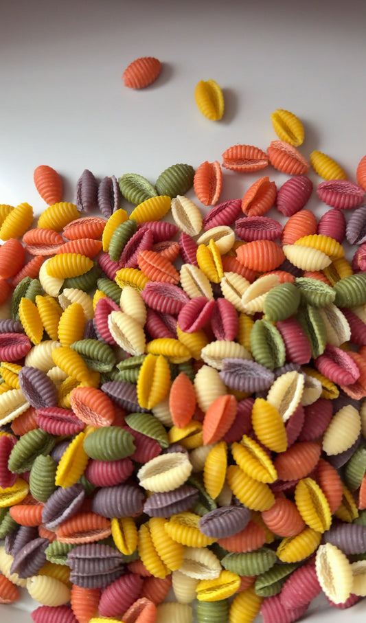 Sensorische Mischung - Muscheln