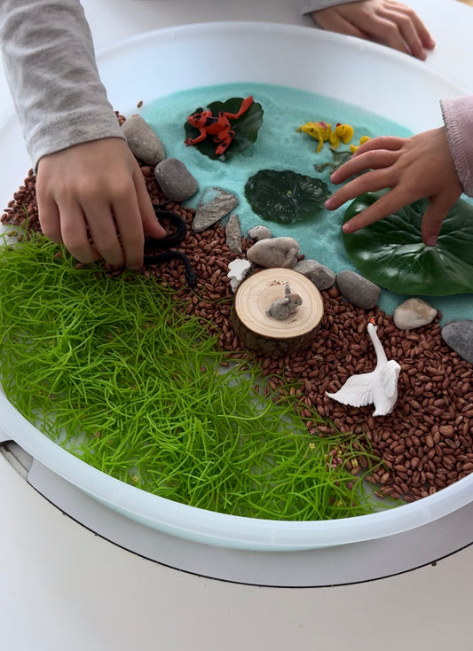 Sensory AboBox